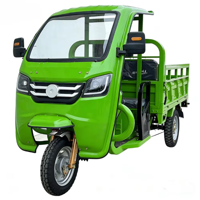 Urban Farming And Rural Farming - Triciclo Elettrico Urbano per Trasporto Merci